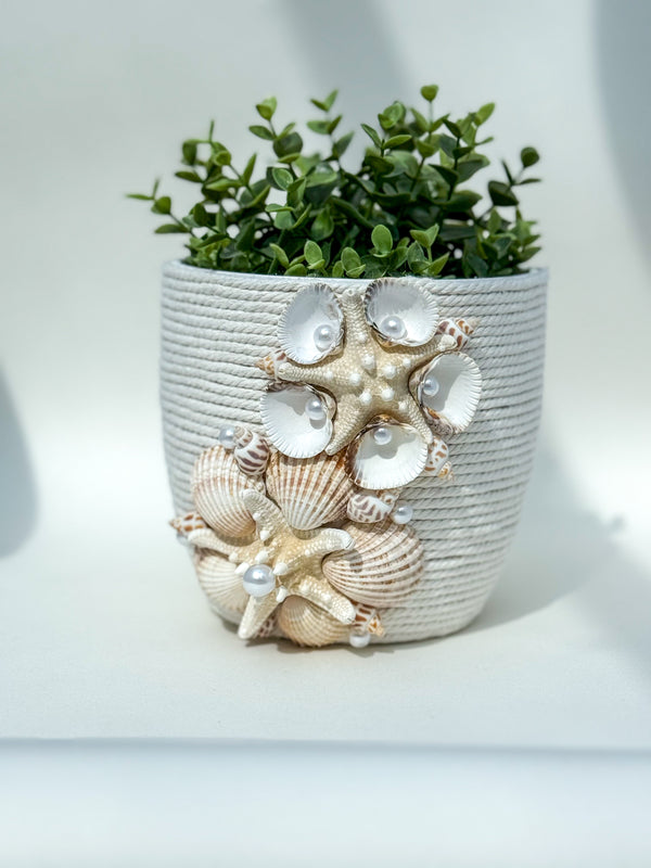Indoor plant pot with shells