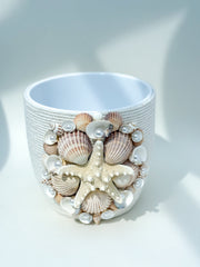 Indoor plant pot with shells