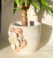 Indoor plant pot with shells