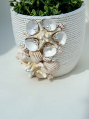 Indoor plant pot with shells