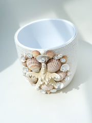 Indoor plant pot with shells