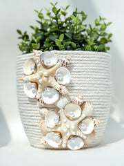 Indoor plant pot with shells