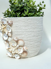 Indoor plant pot with shells