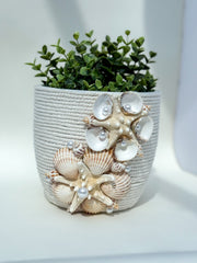 Indoor plant pot with shells