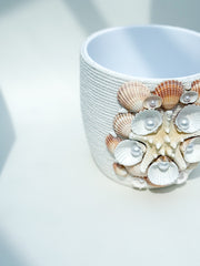 Indoor plant pot with shells