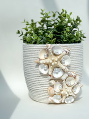 Indoor plant pot with shells