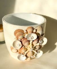 Indoor plant pot with shells