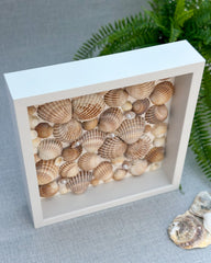 Frame with shells - Gabificent