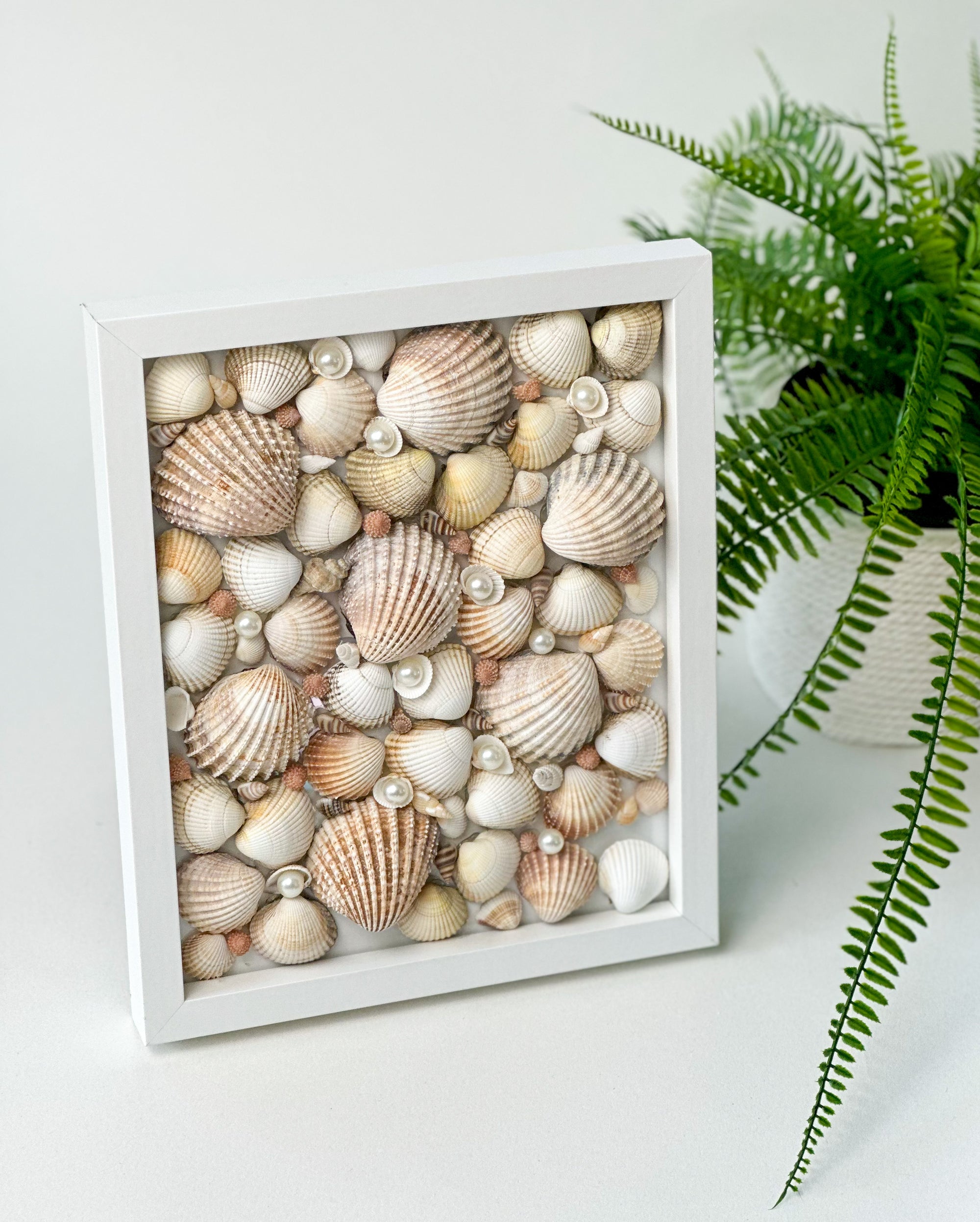 Frame Exhibition Shell Frame with shells – Gabificent