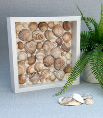Frame with shells - Gabificent