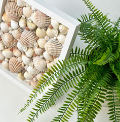 Frame with shells Gabificent