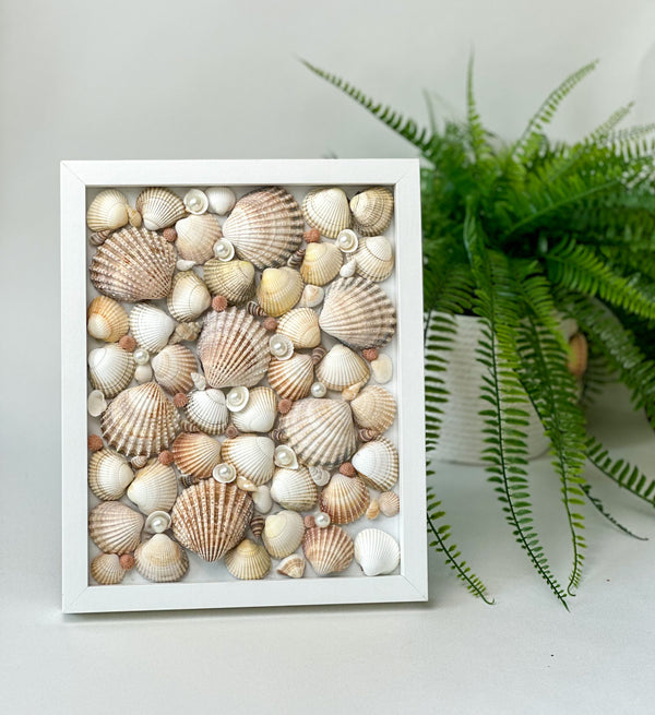 Frame with shells Gabificent
