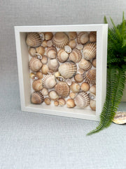 Frame with shells - Gabificent