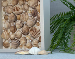 Frame with shells - Gabificent