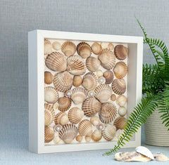 Frame with shells - Gabificent