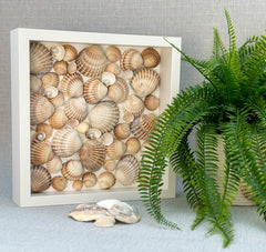 Frame with shells - Gabificent