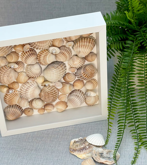 Frame with shells - Gabificent