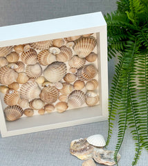 Frame with shells - Gabificent