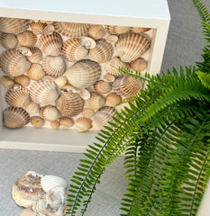 Frame with shells - Gabificent