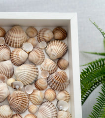 Frame with shells - Gabificent