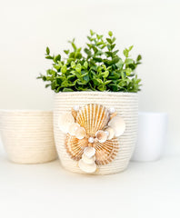 Indoor plant pot with shells Gabificent