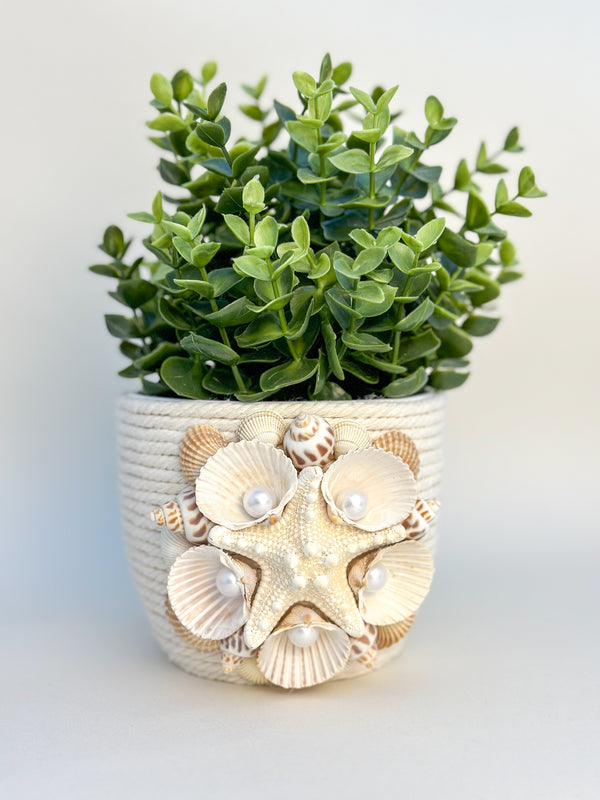 Indoor plant pot with shells Gabificent