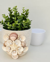 Indoor plant pot with shells Gabificent