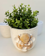 Indoor plant pot with shells Gabificent