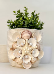 Indoor plant pot with shells Gabificent