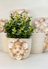 Indoor plant pot with shells Gabificent