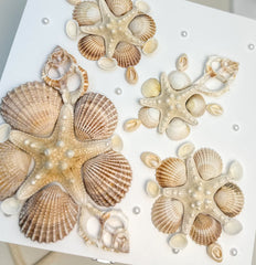 Keepsake box with seashells - Large Gabificent