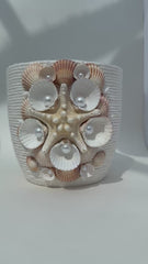 Indoor plant pot with shells