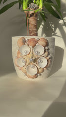 Indoor plant pot with shells