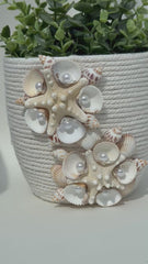 Indoor plant pot with shells