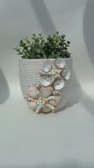 Indoor plant pot with shells
