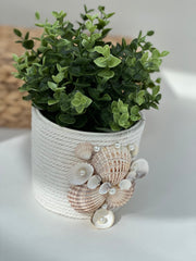 Indoor plant pot with shells Gabificent